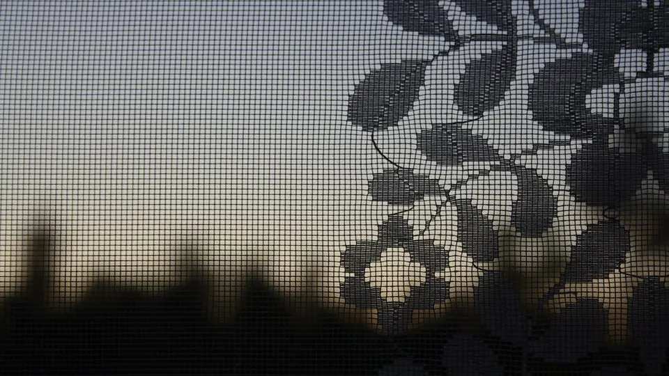 Faux profils : un rideau de dentelle devant le soleil couchant